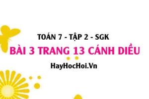 Bài 3 trang 13 Toán 7 Tập 2 Cánh Diều